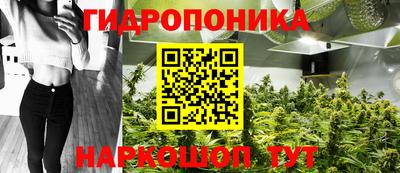 прущие грибы Бузулук