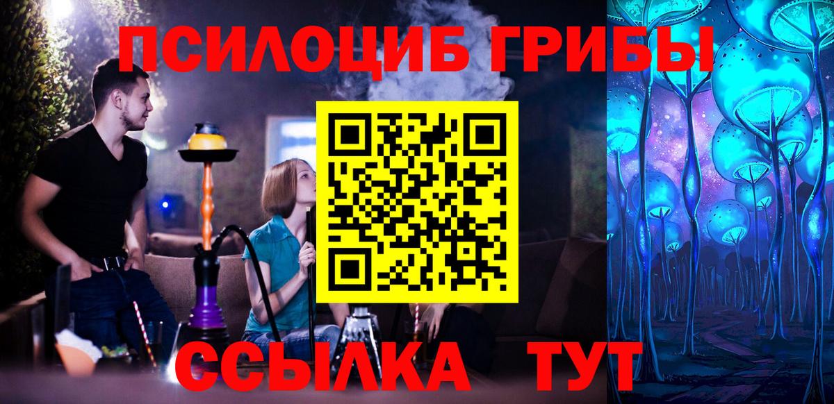 Галлюциногенные грибы MAGIC MUSHROOMS  Псилоцибиновые грибы Psilocybine cubensis  Вход с VPN  Щёкино 